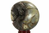 Polished Septarian Geode Sphere - Madagascar #134432-3